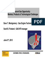 Realizing Natural Gas Opportunity: Markets, Products & Technological Challenges