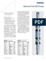 p37 Alternate Path MZ Packer