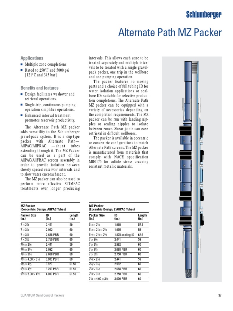 MZ Packer for Multi-Zone Completions | PDF