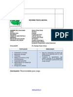 informe-tipo-ejemplo.pdf
