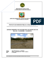 defensa-riberena-gaviones-rio-negro.pdf