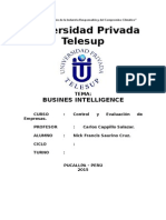 Business Intelligence TG