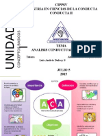 Analisis Conductal Aplicado Cippsv Conducta II Luis Dulcey