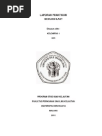 Download Laporan Praktikum Geologi Laut Kelompok 1 - k03 by Davitra Eka Proph SN270614979 doc pdf