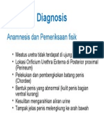 Diagnosis Hipospadia