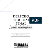 Derecho Procesal Penal Egacal