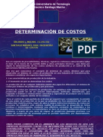 Determinación de Costos.pptx