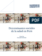 12_Determinantes_Sociales_Salud.pdf