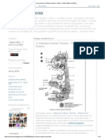 Ser Luminoso - A Alquimia Interior Taoísta - Visão Didática e Poética