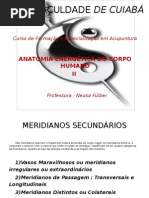 Anatomia Energetica Meridianos Secundarios