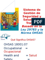 Sistema de Gestión de Seguridad y Salud en el Trabajo Basado en la Ley 29783 y la Norma OHSAS 18001:07