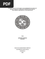 Download potensi tepung isi rumen yang difermentasi dengan rhizophus oligosporus terhadap persentase karkas dan lemak abdominal ayam pedaging by Harfanz Emeraldy Vizcarra SN270656115 doc pdf