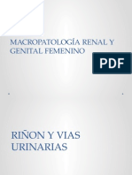 Macropatología Renal y Genital Femenino