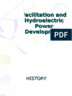 Facilitation and Hydroelectric Power Development