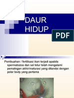 DAUR HIDUP