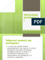 Curs 4- Patol Esofag