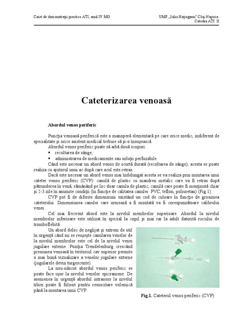 Cateterizarea venoasa essay picture