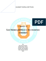 Bienes Publicos y Recursos Comunes