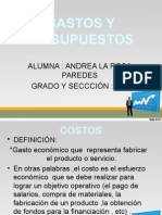 Gastos y Presupuestos