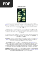 4 edades de la tierra.docx