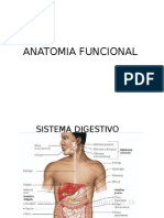 Anatomia Funcional Sistemas