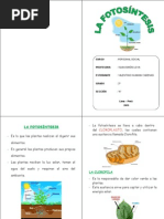 Diptico La Fotosintesis