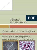 Género Blastomyces
