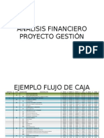 Analisis Financiero Proyecto Gestión