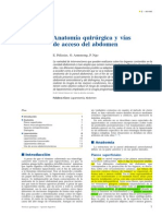 Anatomía quirúrgica y vías de acceso del abdomen