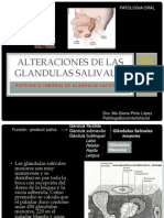 Alteraciones de Las Glandulas Salivales 2015 PDF