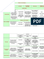 Matriz Estratégica Nueva Esperanza