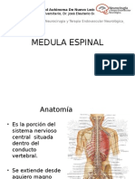 Medula Espinal Sesion