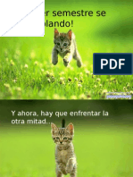 Se Positivo El Resto Del Año