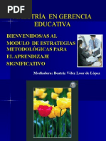 Estrategias Metodologicas Aprendizaje.ppt