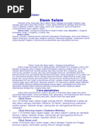 Download Manfaat Daun Salam by Widiyanto Widiyanti SN270757684 doc pdf