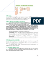 Caracteristicas de Las Bolsas de Colostomia PDF
