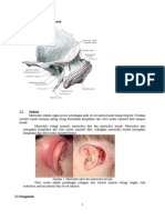 Mastoiditis Presentasi