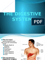 7-THE DIGESTIVE SYSTEM.pptx.pptx