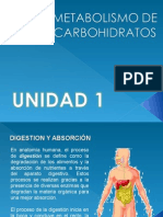 Metabolismo de Carbohidratos