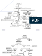 Conceptual Map