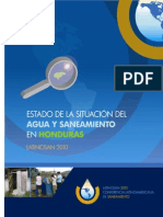 Informe Final Latinosan 2o1o