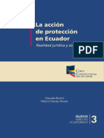 La Accion Proteccion Ecuador 2013 PDF