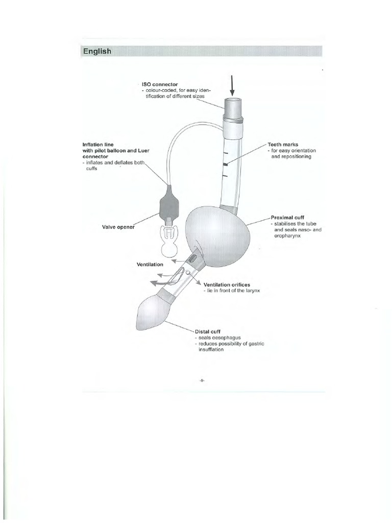 Manual Tub Laringian | PDF | Clinical Medicine | Medical Specialties