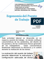 Ergonomia Del Puesto de Trabajo