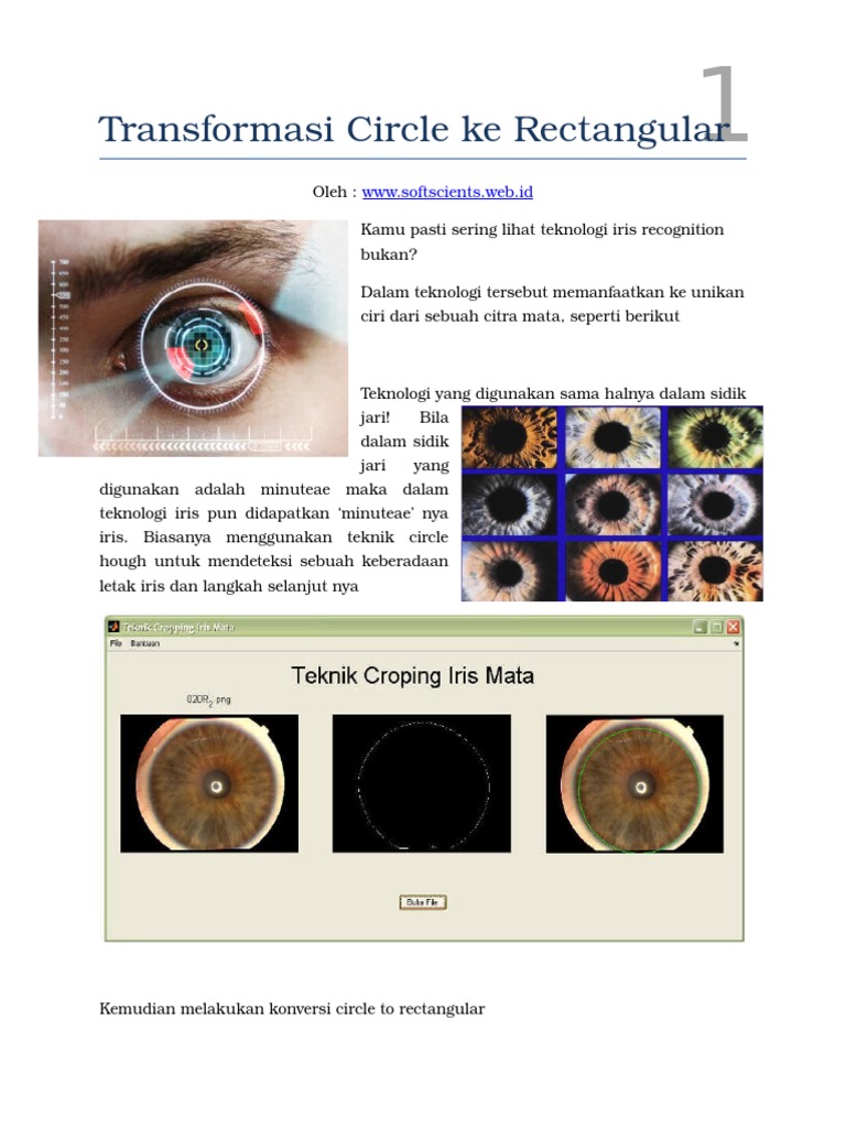 Transformasi Circle Ke Rectangular Pada Citra Iris Mata Pdf