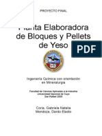 Proyecto Final Planta Elaboradora de Yeso Pelletizado y Bloques de Yeso
