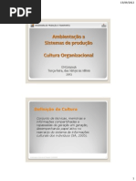 Cultura Organizacional