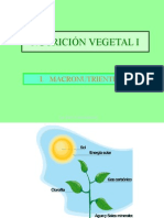 Nutrición vegetal I: Macronutrientes