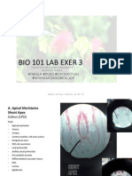 Bio 101 Lab Exer 3