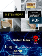 Sistem Indra